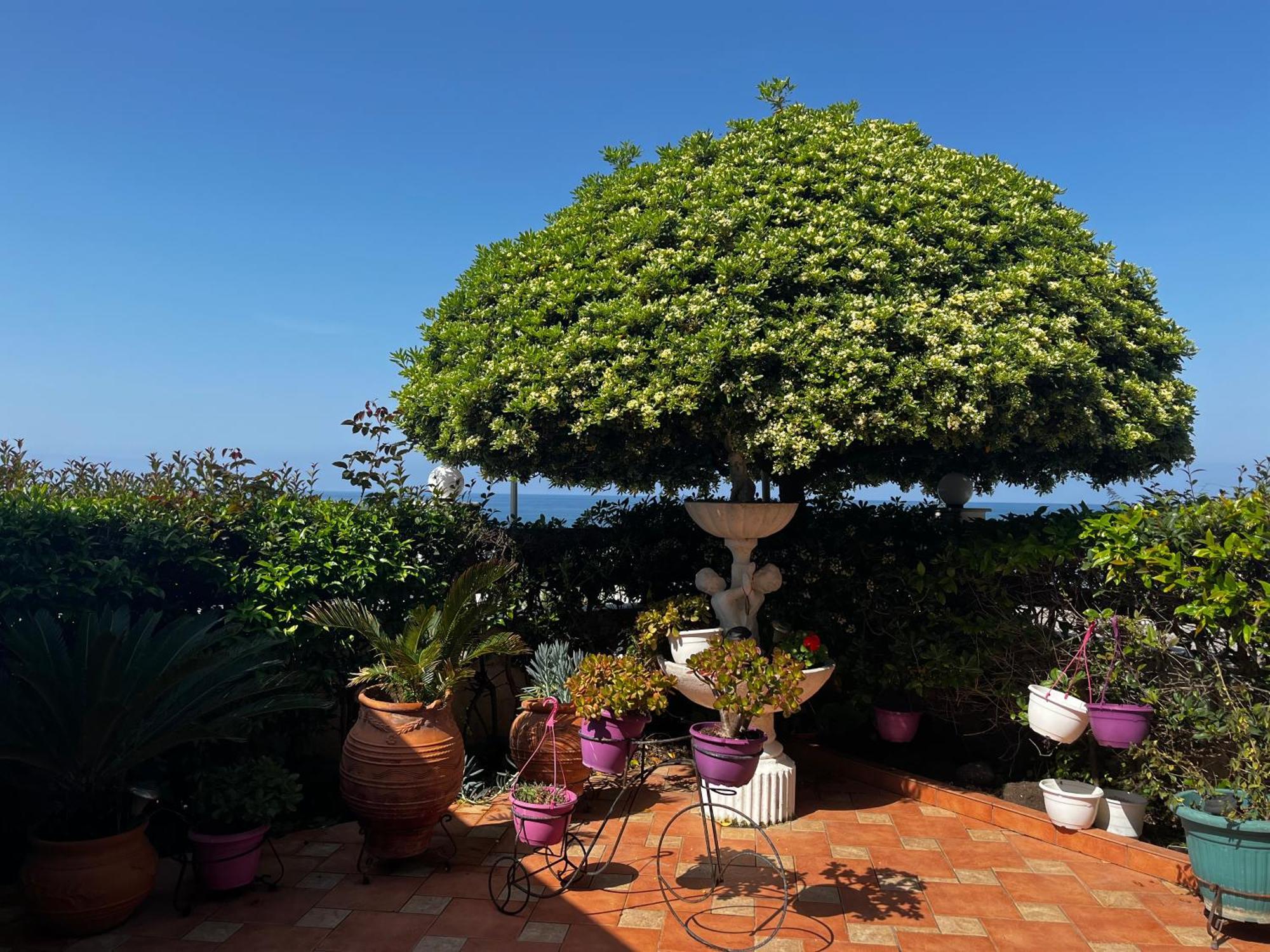 Family Sea & Garden View Apartment Preveza Exterior photo